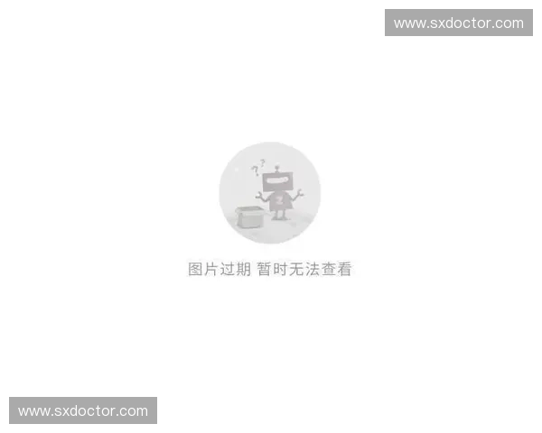 Dota2盾的多样性与战略意义分析及其在比赛中的关键作用探讨